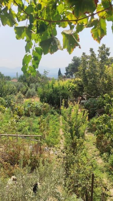 Engin Home Παμούκαλε Εξωτερικό φωτογραφία